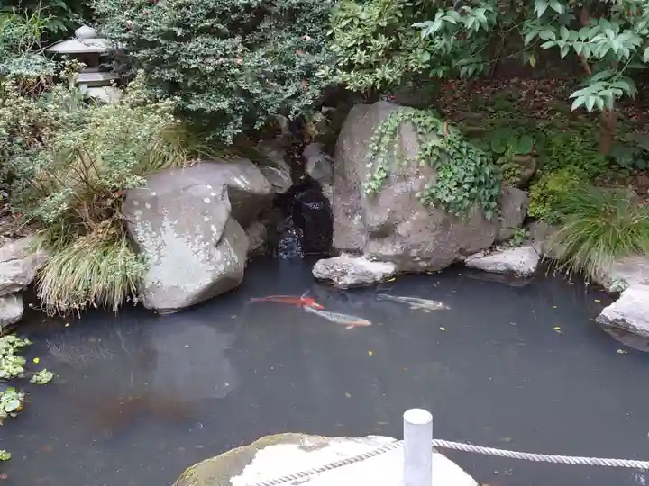 高來神社(神奈川県)