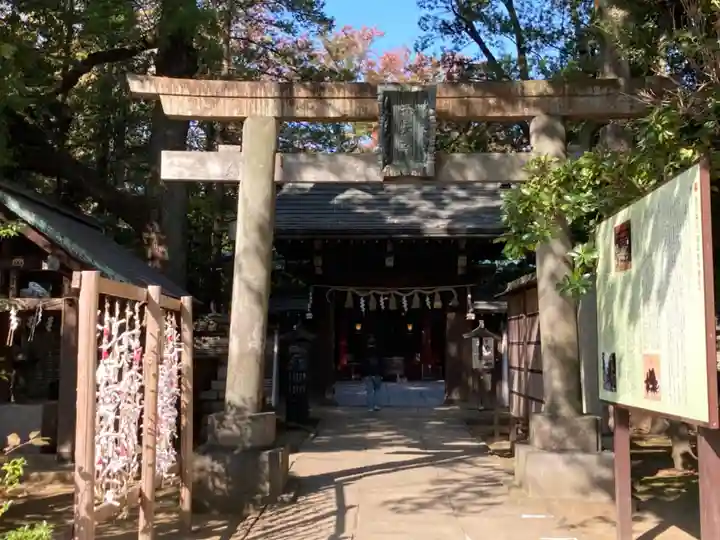 赤坂氷川神社の鳥居
