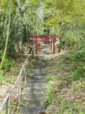伊豆権現堂の鳥居
