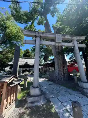 科野大宮社(長野県)