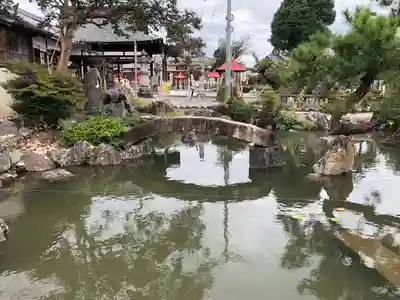 乙津寺　（鏡島弘法）(岐阜県)