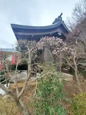 大光普照寺(埼玉県)