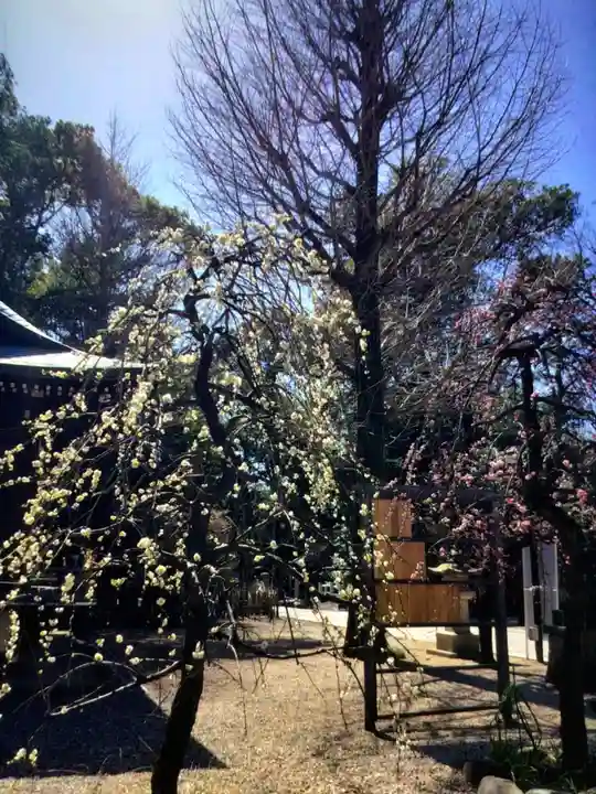 布多天神社(東京都)