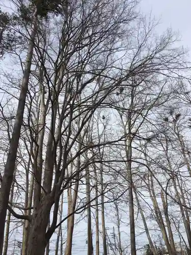 長沼神社の自然