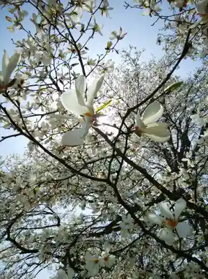 厚別神社(北海道)