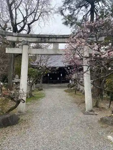 長浜八幡宮の鳥居