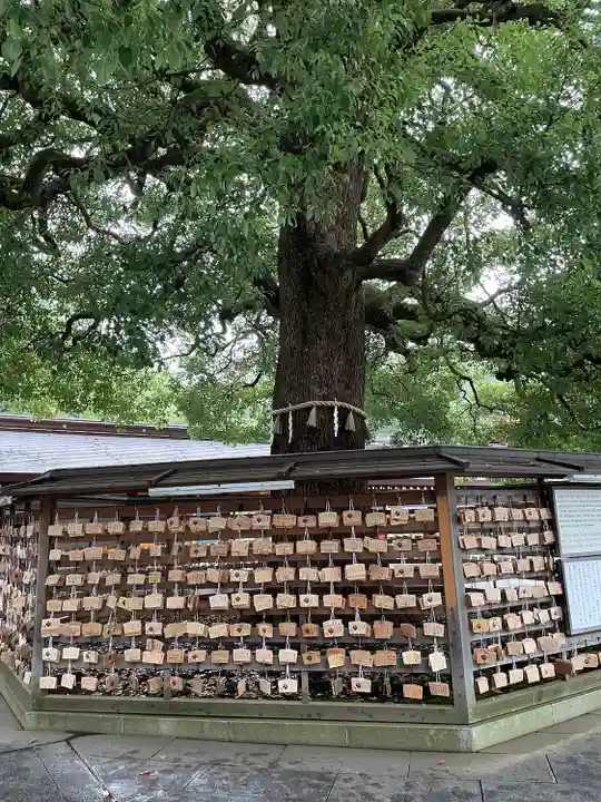 明治神宮(東京都)