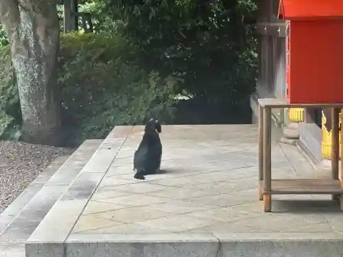 白金氷川神社(東京都)