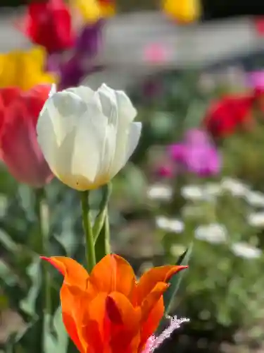 海宝院(神奈川県)