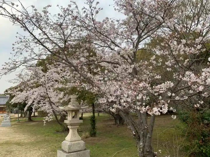 大窪八幡宮の自然