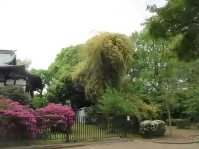 清水観音堂(東京都)