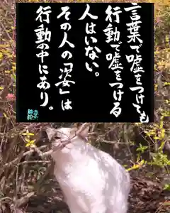 専念寺(大阪府)(2022年12月10日(土) 21時55分07秒投稿)