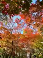 善法律寺(京都府)