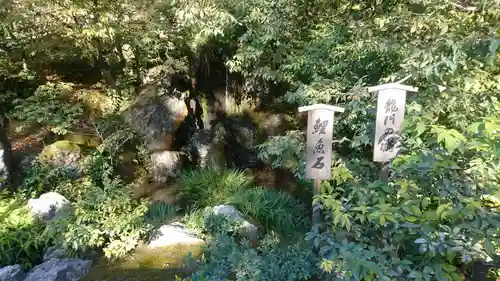 鹿苑寺（金閣寺）の庭園