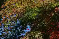 国宝 大法寺の景色