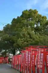 於菊稲荷神社の建物その他