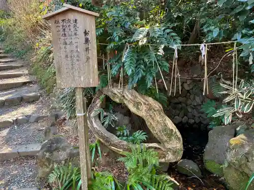 高幡不動尊　金剛寺の庭園