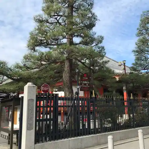 六波羅蜜寺の庭園