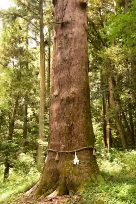 土佐神社(高知県)