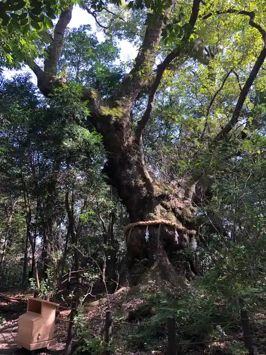 熱田神宮の自然