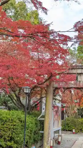 長岡天満宮(京都府)