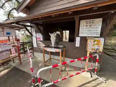 鹿児島神宮(鹿児島県)