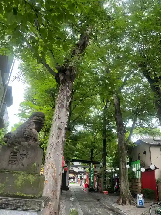 田無神社(東京都)