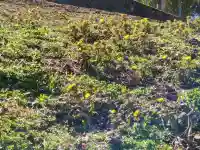 正観音堂(福島県)