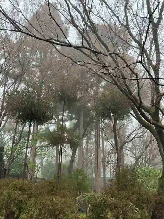 龍安寺(京都府)