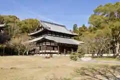 根来寺の本殿