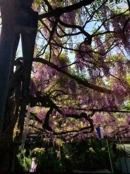 國領神社(東京都)