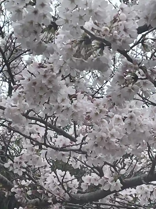 法岩院(千葉県)