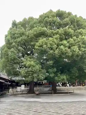 明治神宮(東京都)