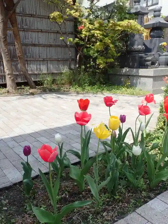 圓珠寺(東京都)