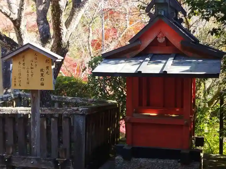 長谷寺(奈良県)