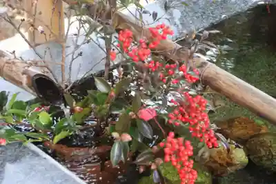 高司神社〜むすびの神の鎮まる社〜の手水舎