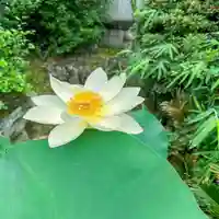 伊勢の国 四天王寺(三重県)