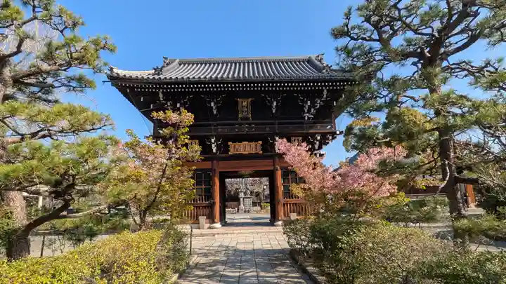 頂妙寺(京都府)
