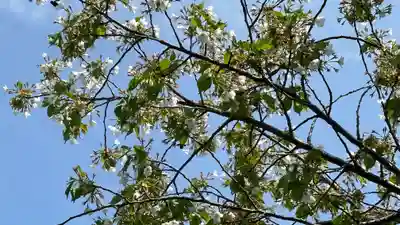 吉岡八幡神社(宮城県)