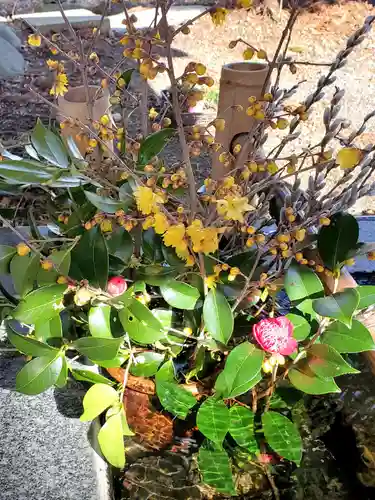 高司神社〜むすびの神の鎮まる社〜(福島県)