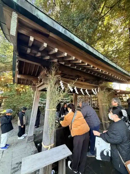 川越氷川神社(埼玉県)