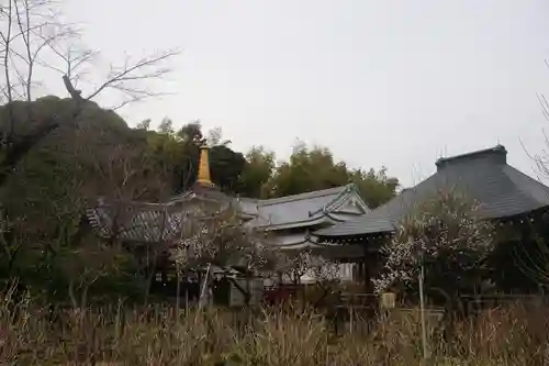 本土寺の景色