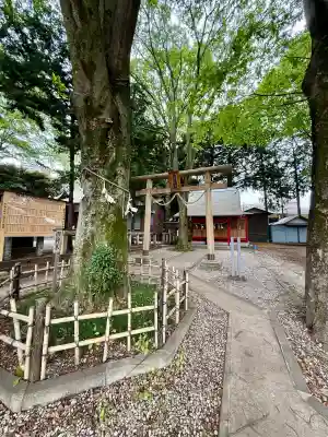 橋本大鷲神社(神奈川県)