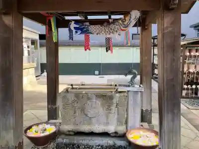 日蓮宗　浄運寺の{uncategorized: "未分類", other: "その他", undefined: "問題あり", building: "その他建物", grave: "お墓", sacred_gate: "鳥居", guardian: "狛犬", statue: "像", buddha: "仏像", history: "歴史", nature: "自然", garden: "庭園", animal: "動物", pagoda: "塔", temizu: "手水舎", mountain_gate: "山門・神門", sanctuary: "本殿・本堂", subordinate: "末社・摂社", art: "芸術", scenery: "景色", jizo: "地蔵", ema: "絵馬", goshuin: "御朱印", omikuji: "おみくじ", items: "授与品その他", amulet: "お守り", goshuincho: "御朱印帳", eats: "食事", festival: "お祭り", votive_dance: "神楽", shichigosan: "七五三参", wedding: "結婚式", experience: "体験その他", initially: "初詣", around: "周辺", anti_infection: "感染症対策"}