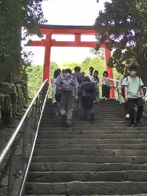 箱根神社の鳥居