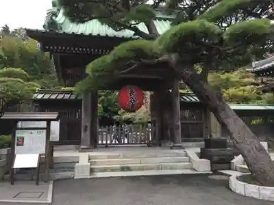 長谷寺の山門・神門