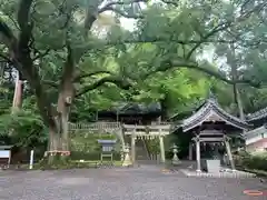 事任八幡宮の建物その他