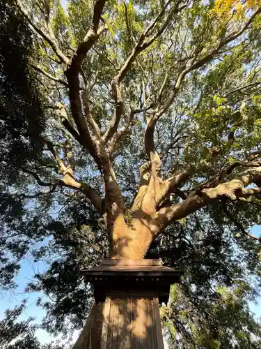 大宮皇神の自然