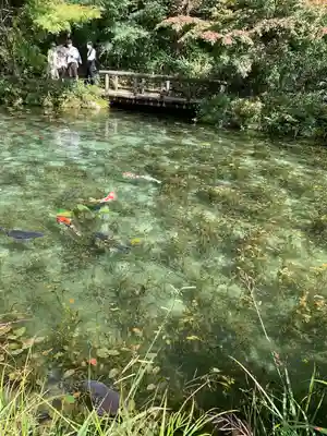 根道神社(岐阜県)