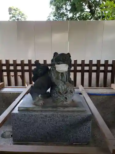 荻窪八幡神社の狛犬